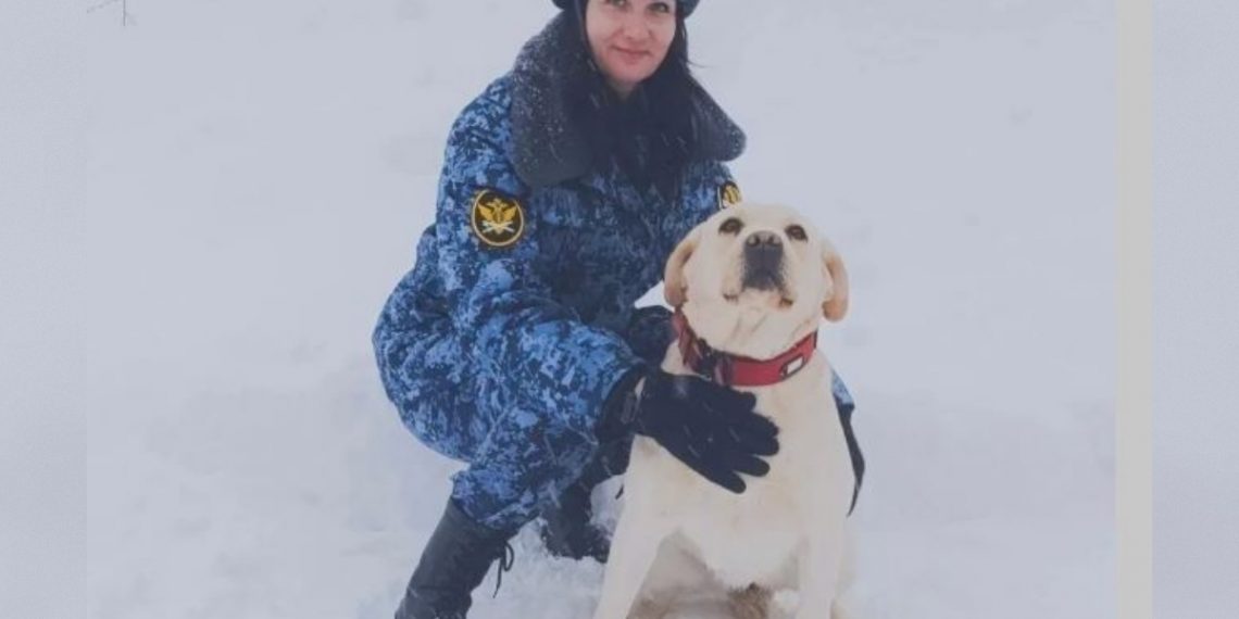 Служебная собака Рокси из инзенского СИЗО помогла полиции найти наркотики