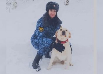 Служебная собака Рокси из ульяновского СИЗО помогла полиции найти наркотики