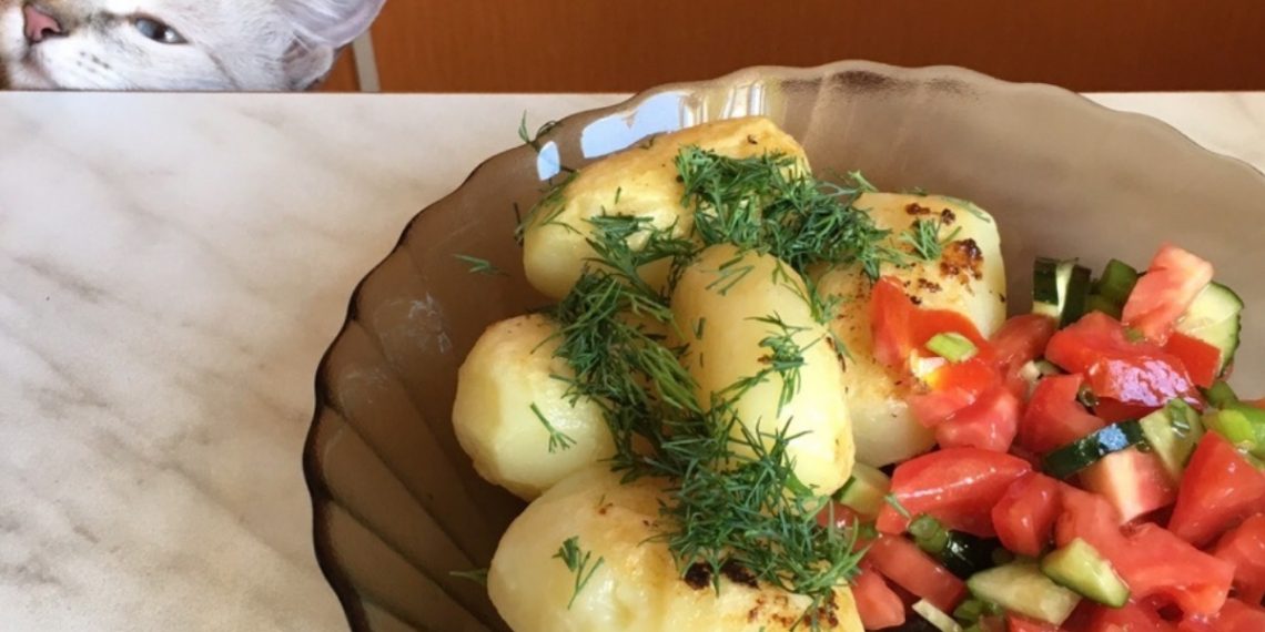 Великий пост-2026: ульяновцам рассказали о датах, запрёщенных продуктах и правилах выхода