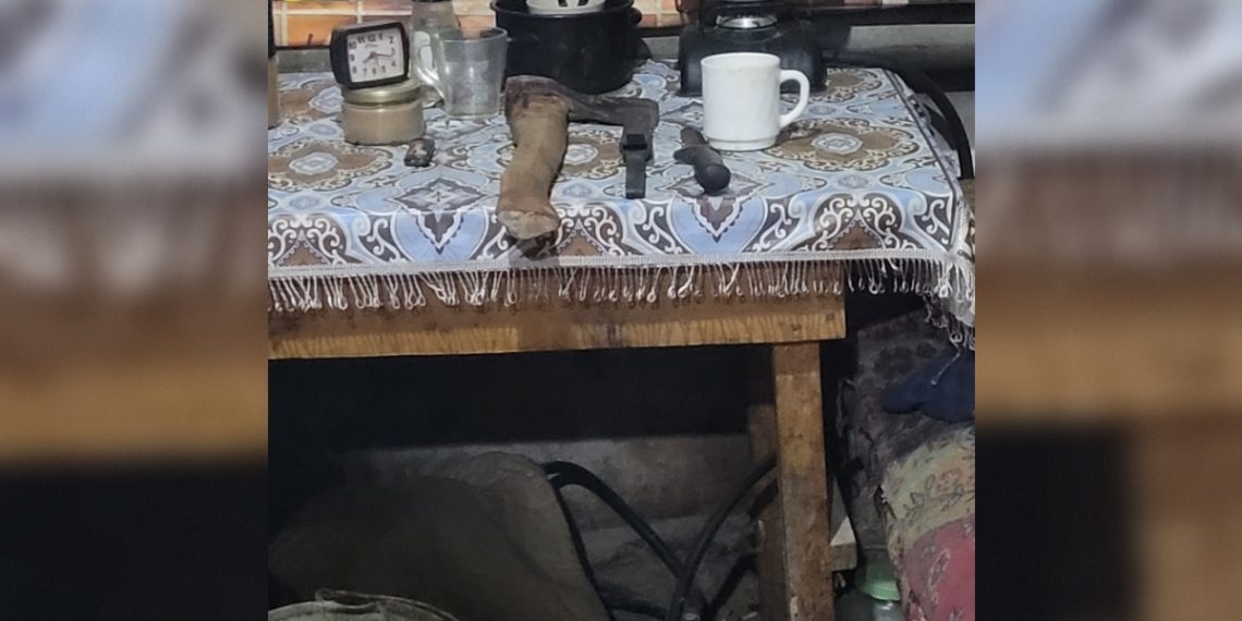 Житель Вешкаймского района убил коллегу топором на свиноферме