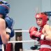 В Ульяновске определили лучших юных боксеров турнира Лезина