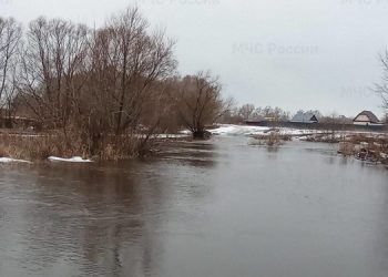 Ульяновские синоптики прогнозируют максимальный уровень воды в Свияге и Сельди