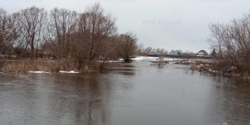 Ульяновские синоптики прогнозируют максимальный уровень воды в Свияге и Сельди
