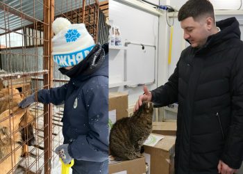 Ульяновские школьники и депутаты объединились для помощи приютам животных