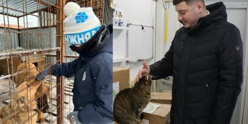 Ульяновские школьники и депутаты объединились для помощи приютам животных