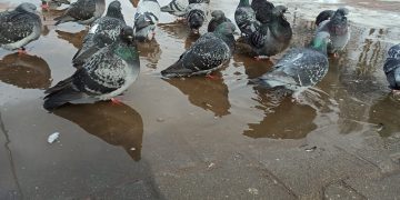 В пятницу, 13-го, в Ульяновске потеплеет до плюсовой отметки