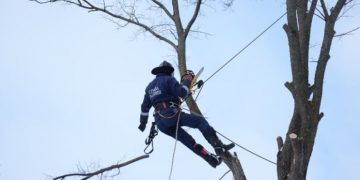 Ульяновские спасатели осваивают арбористику на склоне парка «Дружбы народов»