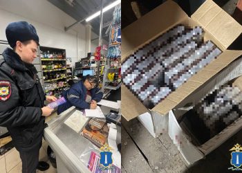 «Сельский патруль» выявил в Карсунском районе 3000 пачек «левых» сигарет