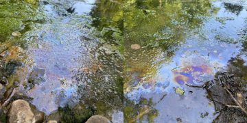 Эксперты и власти соберутся для обсуждения состояния очистных сооружений в Винновской роще