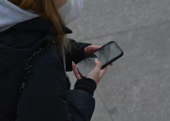 4000 вопросов за неделю: на что жалуются ульяновцы в соцсетях и на Госуслугах