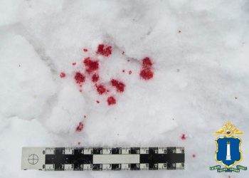 Ульяновец жестоко избил продавца киоска из-за сдачи