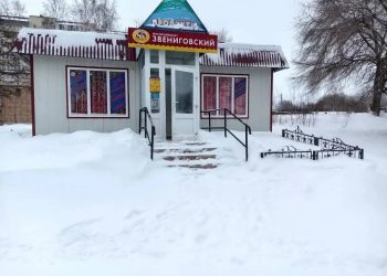 200 предупреждений за неделю: как в Ульяновске заставляют бизнес убирать снег