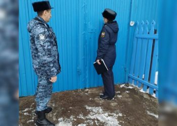 50 тысяч за угон: житель Сурского района оплатил штраф после запрета на выезд