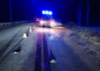 Пешеход погиб под колёсами УАЗа в Кузоватовском районе