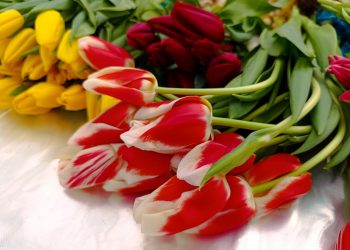 Глава региона и мэр Ульяновска поздравили жительниц города с 8 марта