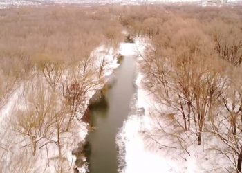 Мэрия: Уровни ульяновских рек далеки от критических