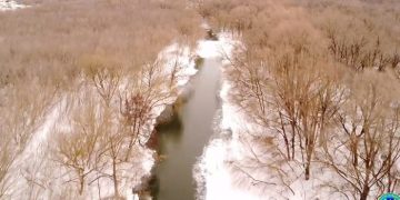 Мэрия: Уровни ульяновских рек далеки от критических