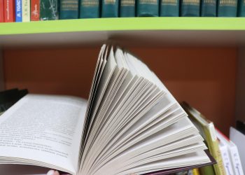 В 11 ульяновских библиотеках книги авторов-иноагентов выдавали без маркировки