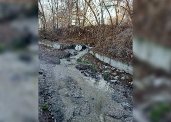 Суд обязал «Ульяновскводоканал» и мэрию очистить ливнёвку от нечистот