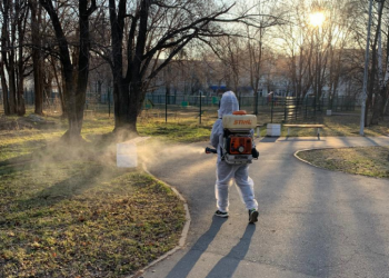 Когда и где в Ульяновске начнут травить клещей