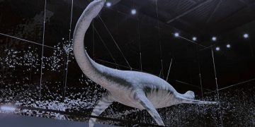 Эласмозавр и плиозавр «ожили» в новой экспозиции Ундоровского палеонтологического музея