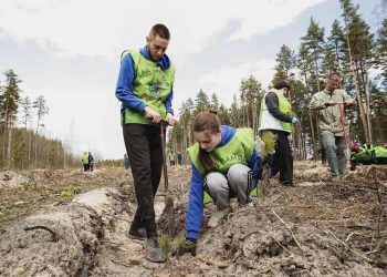 70 тысяч деревьев высадят в Ульяновской области к 81-й годовщине Победы