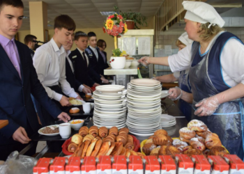 Школы, лицеи и детские сады Димитровграда не заплатили ₽39 млн за питание детей