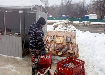 Рейд против нелегальной торговли прошел в Засвияжье