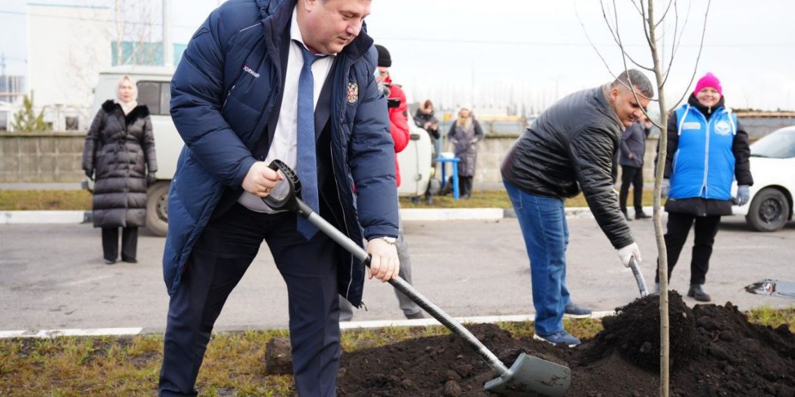 Болдакин: Деревья и кустарники в Ульяновске начнут сажать в апреле