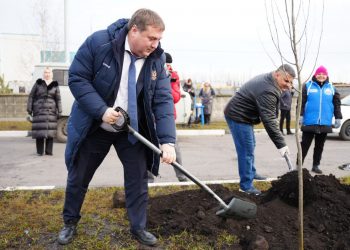 Болдакин: Деревья и кустарники в Ульяновске начнут сажать в апреле