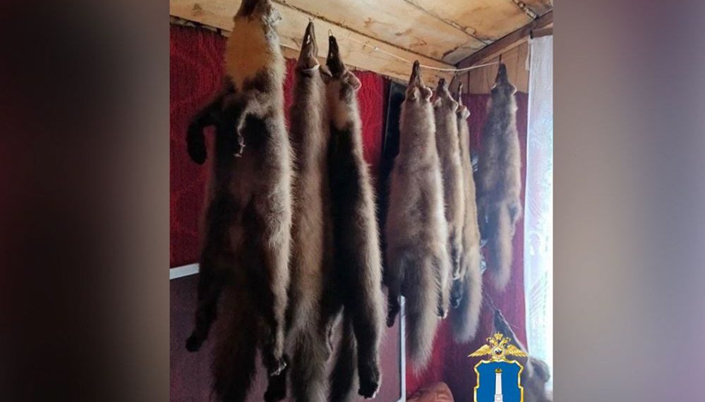 Ульяновский браконьер попался с тушками зверей и марихуаной