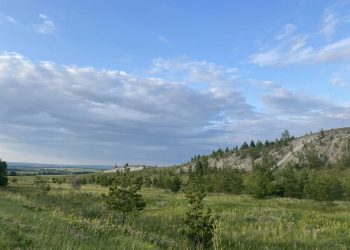 Экотропы для науки и отдыха: каким будет обновленный заказник «Богдановский»