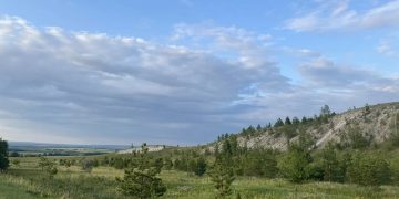 Экотропы для науки и отдыха: каким будет обновленный заказник «Богдановский»