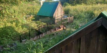 20 родников обустроят в Ульяновской области до конца 2026 года