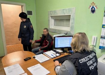 В суд ушло дело о смертельном избиении телевизором в Языково