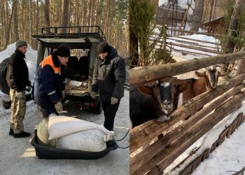 Сотрудники Минприроды накормили обитателей Ульяновского зоопарка