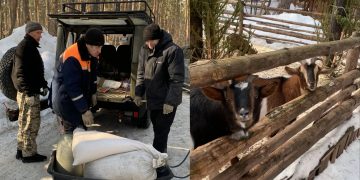 Сотрудники Минприроды накормили обитателей Ульяновского зоопарка