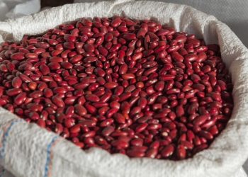 Казахстан, Киргизия и Кот-д’Ивуар «подкармливают» Ульяновскую область рисом и фасолью