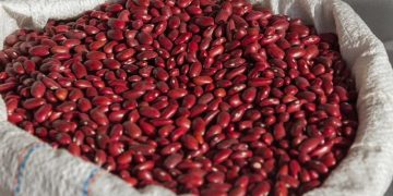 Казахстан, Киргизия и Кот-д’Ивуар «подкармливают» Ульяновскую область рисом и фасолью