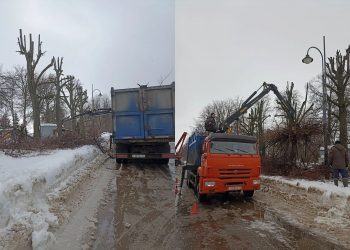 54 липы обрезали на Новом Венце в Ульяновске
