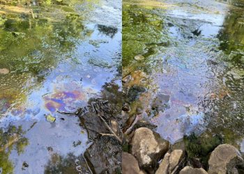 «Винновскую рощу» залило нефтепродуктами, а свалку под Красным Яром не могут закрыть