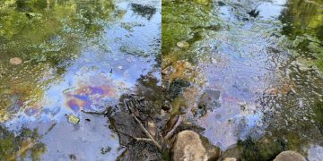 «Винновскую рощу» залило нефтепродуктами, а свалку под Красным Яром не могут закрыть