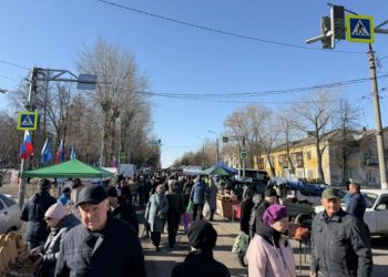 15 тонн овощей и почти 67 тысяч яиц купили ульяновцы на ярмарке в Киндяковке