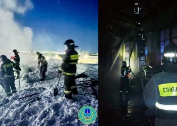 Гаражный бокс сгорел на Фасадной в Ульяновске в ночь на 7 марта