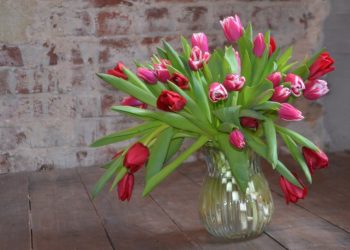 Мошенники развели ульяновскую пенсионерку на 200 тысяч с помощью цветов