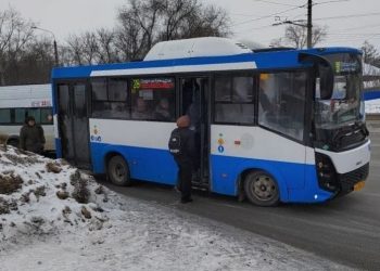 До ярмарки у Вещевого рынка пустят бесплатный автобус от «Автозавода»