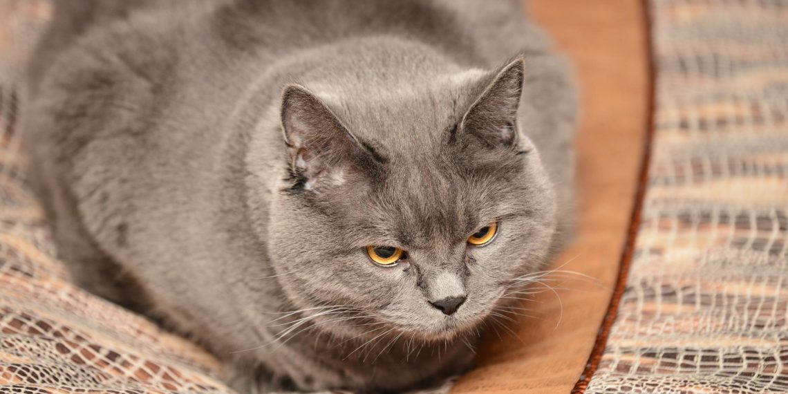 Ульяновцы назвали главные ассоциации с ленью и бездельем