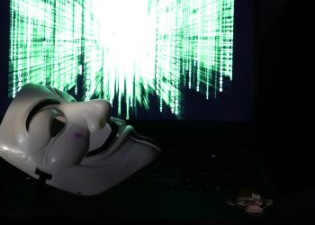 Ульяновские полицейские задержали в Ярославле «интимного» мошенника