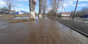 Ульяновскую область ждет «большая вода»: зима побила рекорды снежности