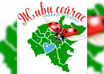 В Ульяновске родители особенных детей смогут лично встретиться с московскими реабилитологами